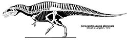 Archivo:Acrocanthosaurus atokensis