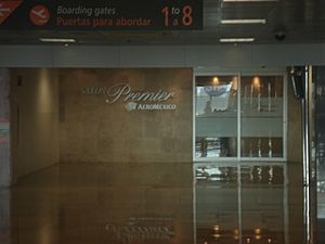 Archivo:Aeropuerto de Guadalajara 09
