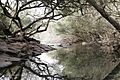 Aprender (Entre Ríos) -Parque Nacional El Palmar (13)