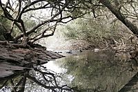 Aprender (Entre Ríos) -Parque Nacional El Palmar (13).jpg