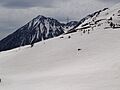 Bonaigua 2014 Boí Cavallers 022