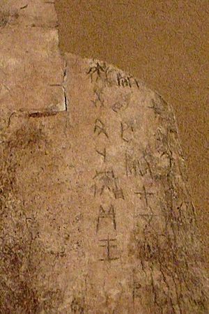 Archivo:CMOC Treasures of Ancient China exhibit - oracle bone inscription