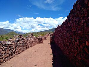 Archivo:Caminos de Pikillaqta