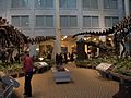 Carnegiesaurus