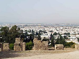 Archivo:Carthage sud urbanisation