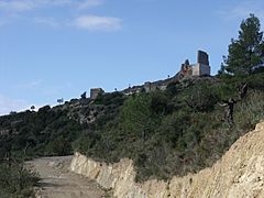 Castell de Torís 14