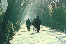 Archivo:Cismigiu Winter Promenade