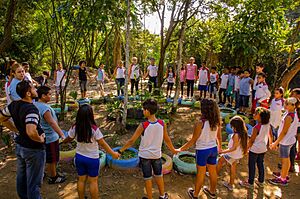Archivo:Clase de educación ambiental en parque natural municipal Caixa d`agua