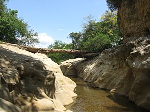 Archivo:CoelloQuebrada