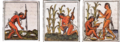 Cultivo maiz Códice Florentino libro IV f.72