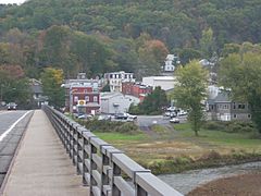 Downtown Callicoon from PA.JPG
