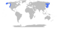 Enteroctopus dofleini Range