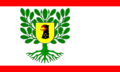 Flagge Ahrensbök