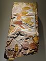 Glossopteris sp., seed ferns, Permian - Triassic - Houston Museum of Natural Science - DSC01765