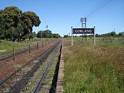 Gowland2.jpg