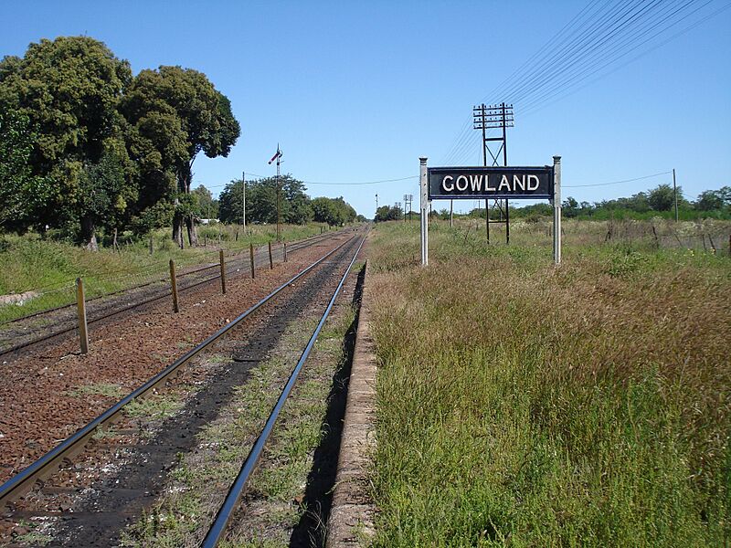 Gowland2
