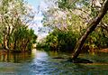GoyderRiverCrossing