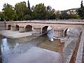 Granada Puente del Genil