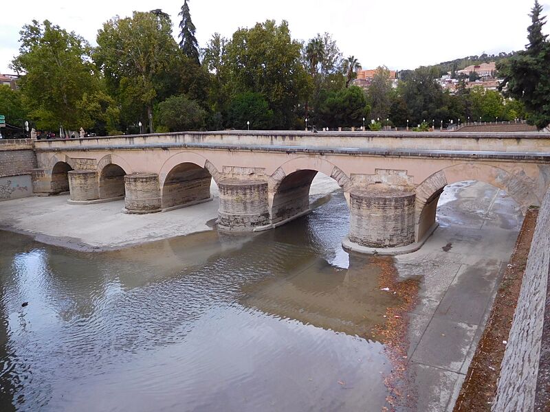 Granada Puente del Genil