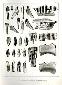 Archivo:Hadrosaurus lithograph