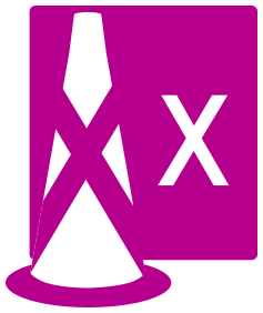 ICAA X