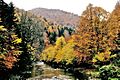 Irati, otoño 1990 02