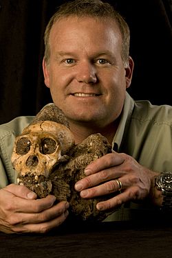 Archivo:Lee Berger and the Cranium of Australopithecus sediba MH1