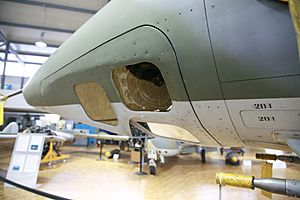 Archivo:Mirage III-R MG 1298
