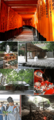 Montage of Shinto