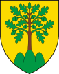 Monthey - Wappen.svg