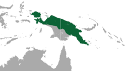 Distribución de Dasyurus albopunctatus: Nueva Guinea e Islas Aru