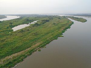 Archivo:Orilla occidental del río Paraguay, perteneciente al departamento de Presidente Hayes. Vista desde el puente Nanawa, que lo conecta con el departamento de Concepción