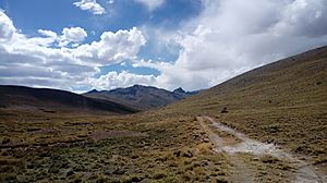 Paisaje de la comunidad de Sahacata en Puno.jpg