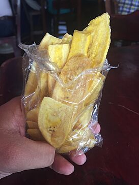 Platanitos in hand.jpg