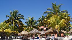 Archivo:Playa "La ropa"-zihuatanejo-Guerrero-México. - panoramio