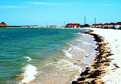 Playa Carbonera, San Fernando, Tamaulipas.jpg