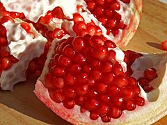 Archivo:Pomegranate close up