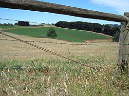 Archivo:Potato field through fence - Thorpdale
