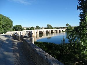 Archivo:Puente de Torquemada sobre el río Pisuerga