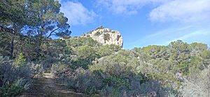 Archivo:Puig de sa morisca, santa ponsa, mallorca