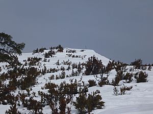 Archivo:Raquetada Tossal del Rei (1350m) 058