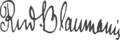 Rudolfs Blaumanis signature