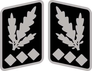 SS-Oberst-Gruppenführer collar