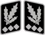 SS-Oberst-Gruppenführer collar.svg