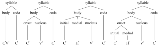 Syllable body coda