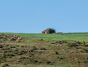 Archivo:Torre, Layna, Soria, España, 2017-05-23, DD 07