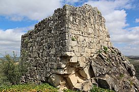 Torre del Cortijo de los Salineros 24J 10.jpg