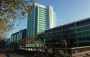 Archivo:University College Hospital