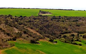 Archivo:030413 1248 Corrales Valladolid Los Prados T01
