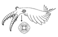 1996 Anomalocaris canadesis